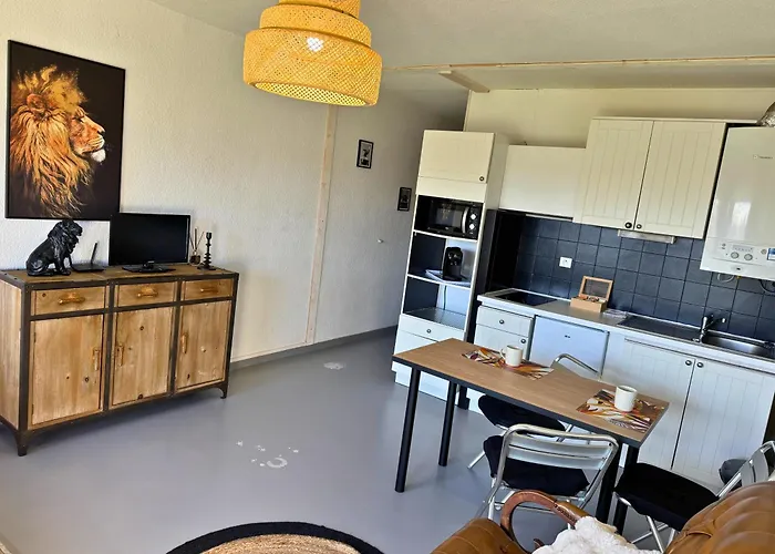 Majestic - Wifi - Parking - Vue